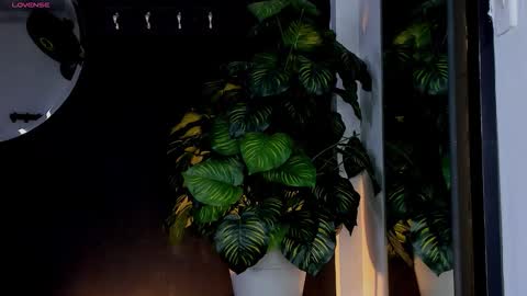 Noah  online show from March 25, 3:23 am