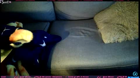  OF - Ooh 69sweet SNAP4LIFE OFFLINE  899 normal  VIP 1369 outside  online show from April 5, 10:42 pm