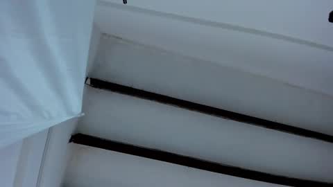 Miss Guzman  online show from January 27, 12:48 pm