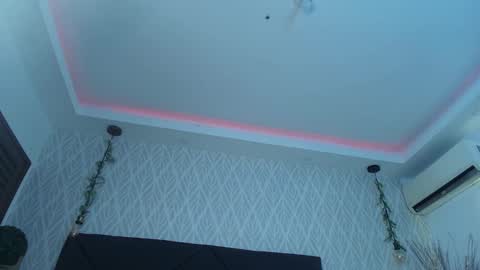 PAU  online show from December 5, 7:37 pm