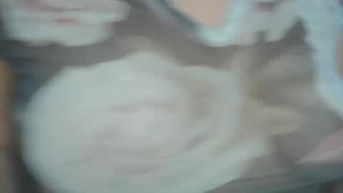 Snapshot of perlagoloza05 chatting on February 1, 1:02 am goloza online show from February 1, 1:02 am
