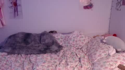 ill be back on monday 18th of november online show from December 30, 7:00 pm