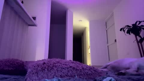 KELLY  online show from January 8, 12:47 am