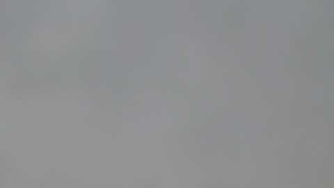 playboypetit online show from January 15, 9:41 pm