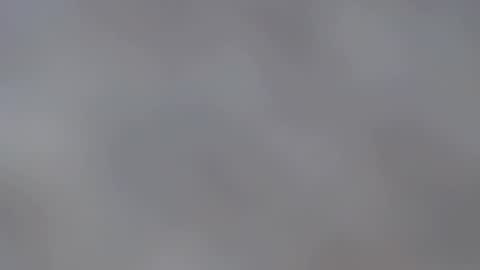 playboypetit online show from January 12, 6:39 am