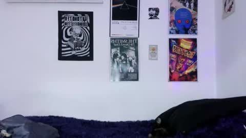    online show from February 28, 1:38 am