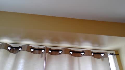 pretty_littletoy online show from March 5, 2:13 pm