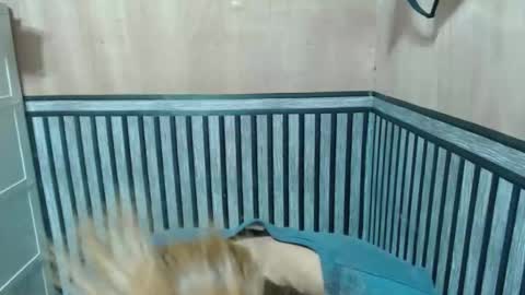 Kate online show from December 2, 9:11 am