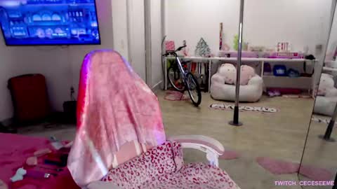 Cece  NEXT LIVESTREAM -- DEC. 4th  7 PM CST online show from April 1, 4:13 am