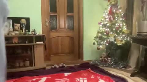 proud sweet 21 online show from January 6, 12:36 am