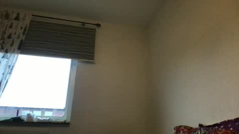 Redfox online show from December 18, 2:00 pm