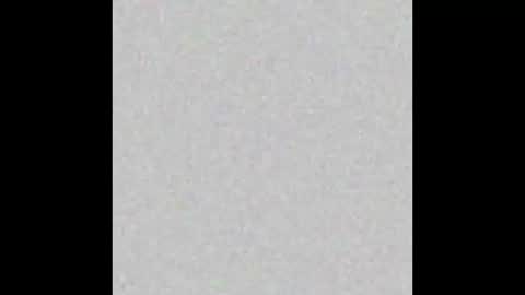 HAZEL online show from March 8, 11:56 am