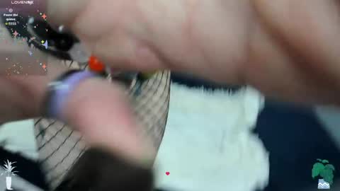 Rose  online show from April 19, 9:31 am