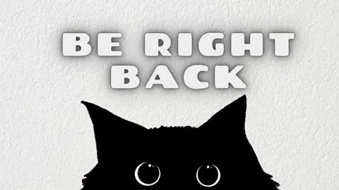 Sami and Lee online show from February 8, 8:45 pm