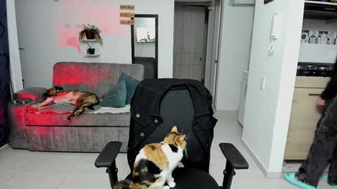 SARA online show from September 26, 12:30 am