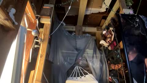 Sarrah Sweet online show from October 26, 5:47 am