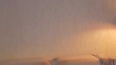       online show from March 21, 10:59 pm