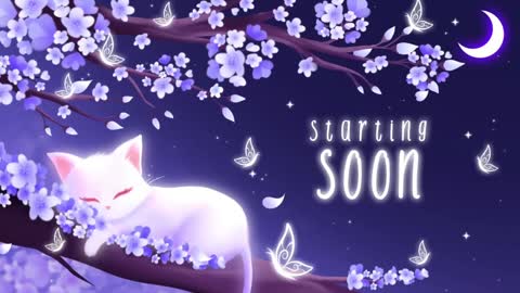 Sassy Sami Kittyn online show from January 7, 6:16 am