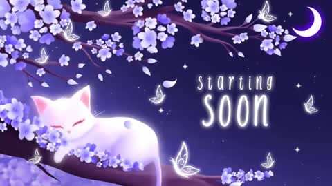 Sassy Sami Kittyn online show from March 10, 5:11 am