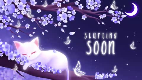 Sassy Sami Kittyn online show from February 17, 5:47 am