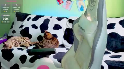 Snapshot of savage_lust_ chatting on October 13, 2:36 am Ariel online show from October 13, 2:36 am