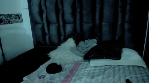 S C A R L E T online show from October 20, 11:57 am