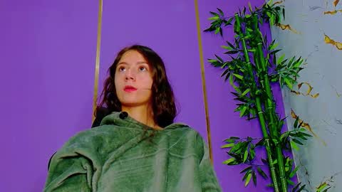 Denis online show from November 5, 8:30 am