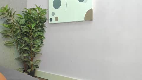 Scarlett 3 online show from January 14, 3:11 am