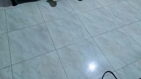 Dafne online show from December 15, 11:26 am