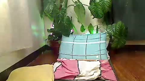 jane online show from December 5, 5:29 am