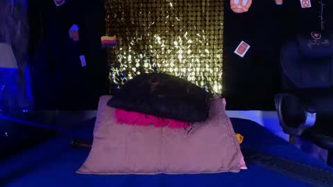 Shelsy online show from September 19, 12:04 pm