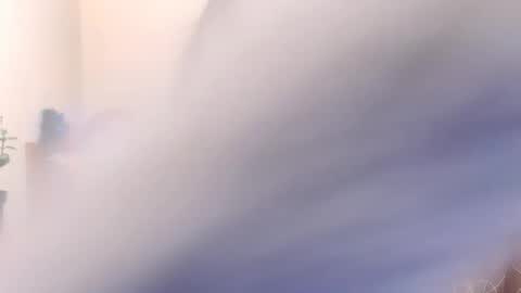 shy_cat_candy online show from February 14, 7:44 pm