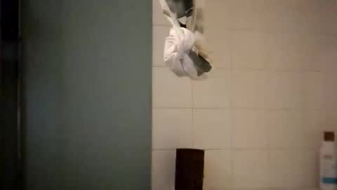 sigmaelixer online show from October 18, 8:39 am