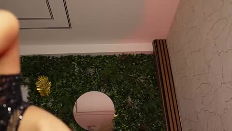 Dee online show from March 13, 8:54 pm