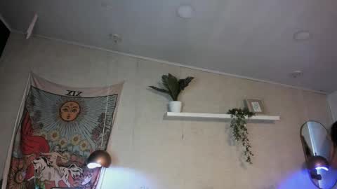 sofii_wild online show from May 30, 12:14 pm