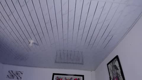 sophie doll online show from November 19, 6:08 pm