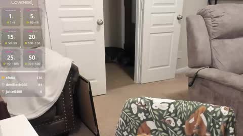 Bunnydathug online show from December 23, 10:30 am