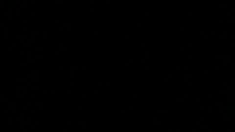 Soyoceanne online show from February 14, 8:11 pm