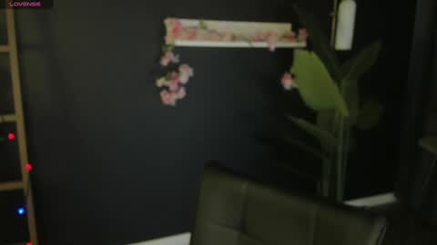 Risha online show from January 14, 12:35 pm