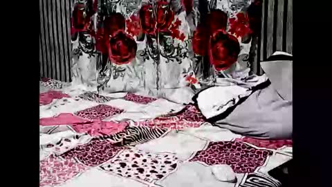 superclit4u online show from October 11, 10:42 am