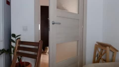 Snapshot of sweetberryxxx chatting on March 2, 12:42 am Diana online show from March 2, 12:42 am