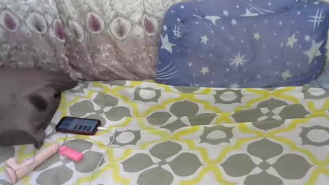 sweetcandy252 online show from March 18, 6:51 am