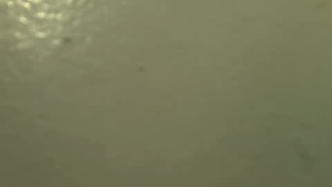 Stacy online show from September 13, 10:23 am