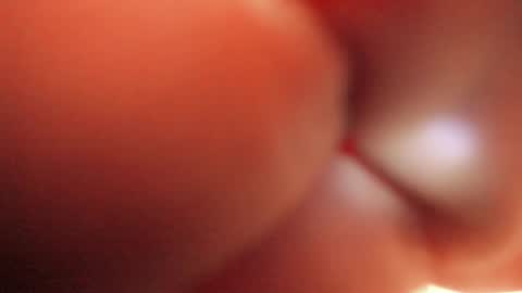 Tamara. online show from September 10, 6:24 am