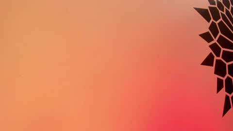 Tamara. online show from February 25, 3:52 pm