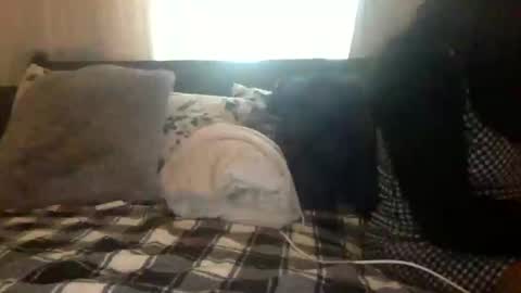 Snapshot of tatiannatease chatting on January 7, 9:25 pm Tatianna Marie online show from January 7, 9:25 pm