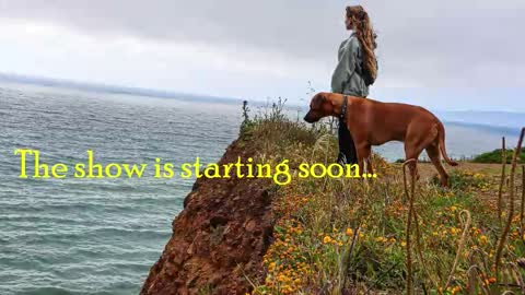 TATUM  ALL MY LINKS  online show from December 2, 7:05 pm