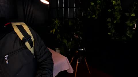 Taylor Bennet online show from February 9, 12:08 pm