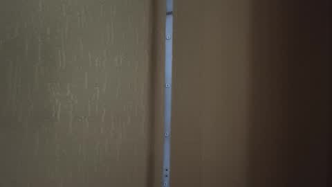 Kimi online show from November 27, 12:52 pm