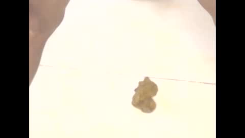 thelil_girl online show from February 24, 8:57 am